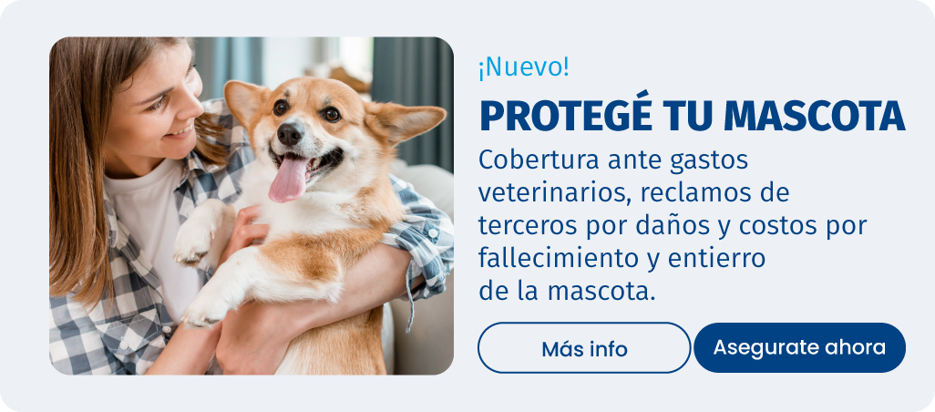 Seguro Mascotas
